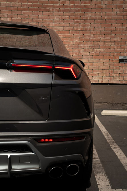 grey-urus-4