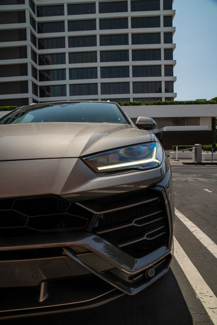 grey-urus-9